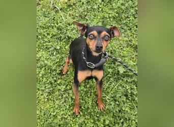 Glamour - einfach glamourös