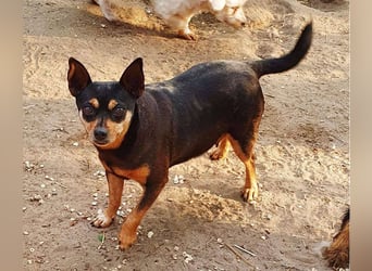  PEGGI – Kleine Lady mit großem Herz