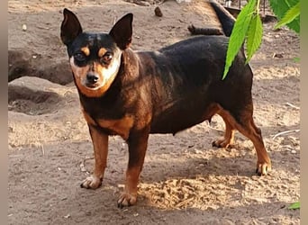  PEGGI – Kleine Lady mit großem Herz