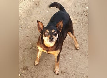  PEGGI – Kleine Lady mit großem Herz