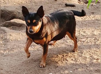  PEGGI – Kleine Lady mit großem Herz