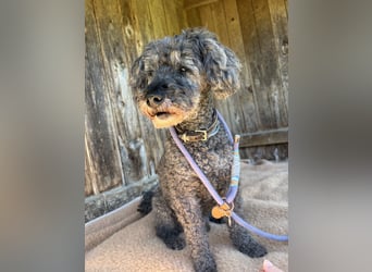 Jacko sucht ein neues Zuhause