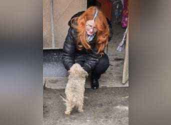 Bogyo, klein, schnuckelig und im besten Alter