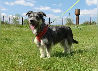 Luna sucht ein Zuhause