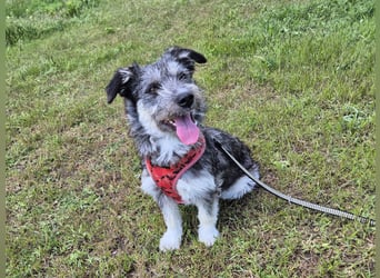 Luna sucht ein Zuhause