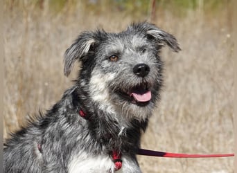 Luna sucht ein Zuhause