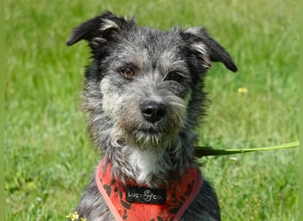 Luna sucht ein Zuhause