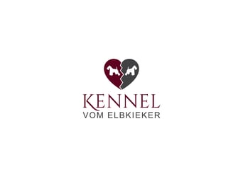 Unsere Zwergschnauzer-Welpen in weiß sind da! Ab 10.11.26 auszugsbereit