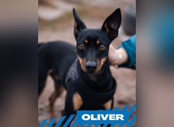 Oliver