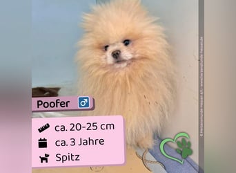 Poofer