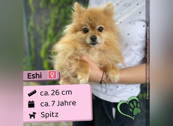 Eshi