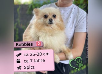 Bubbles