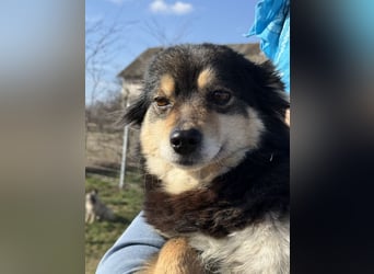 Kleine Maggie sucht ihr Glück