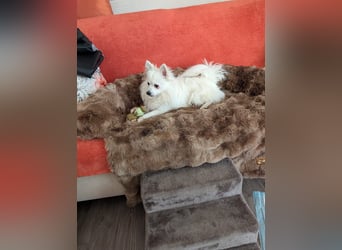 Leo - spielen, schmusen, die Welt entdecken