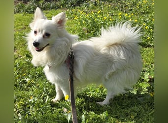 Leo - spielen, schmusen, die Welt entdecken