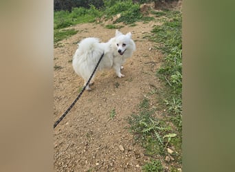 Leo - spielen, schmusen, die Welt entdecken