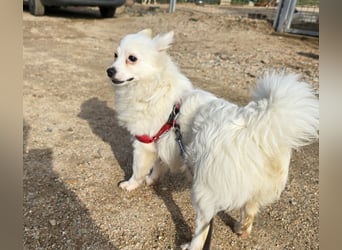 Leo - spielen, schmusen, die Welt entdecken