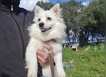 Leo - spielen, schmusen, die Welt entdecken