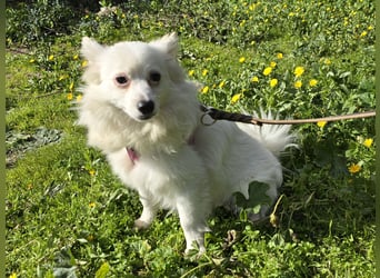 Leo - spielen, schmusen, die Welt entdecken