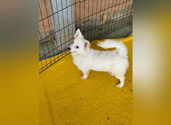 Leo und Poldo: ein Herz und eine Seele Leo und Poldo: ein Herz und eine Seele