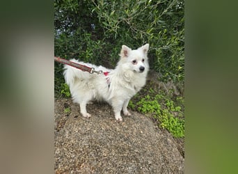 Leo - spielen, schmusen, die Welt entdecken