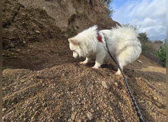 Leo - spielen, schmusen, die Welt entdecken