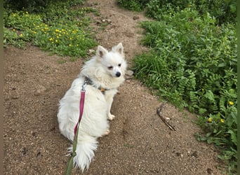 Leo - spielen, schmusen, die Welt entdecken