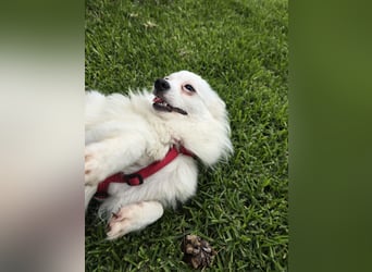 Leo - spielen, schmusen, die Welt entdecken