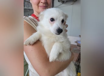 Leo und Poldo: ein Herz und eine Seele Leo und Poldo: ein Herz und eine Seele