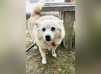 Fritz sucht ein neues Zuhausr