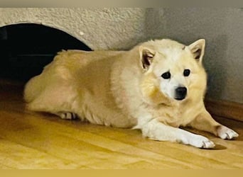 Fritz sucht ein neues Zuhausr