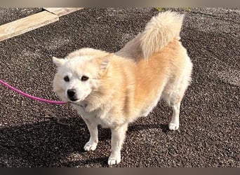 Fritz sucht ein neues Zuhausr