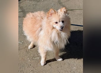 Moritz wartet auf sein Für-Immer-Zuhause