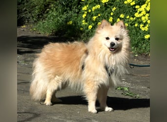 Moritz wartet auf sein Für-Immer-Zuhause