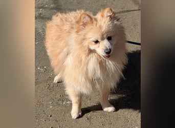 Moritz wartet auf sein Für-Immer-Zuhause