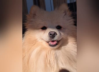 Moritz wartet auf sein Für-Immer-Zuhause