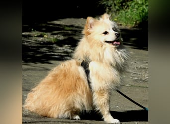 Moritz wartet auf sein Für-Immer-Zuhause