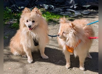 Moritz wartet auf sein Für-Immer-Zuhause