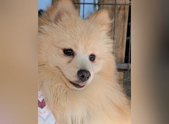 Moritz wartet auf sein Für-Immer-Zuhause