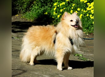 Moritz wartet auf sein Für-Immer-Zuhause