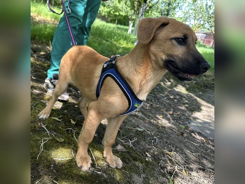 Nina ein kleiner Engelchen