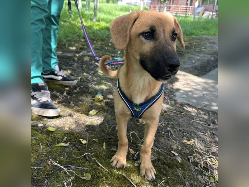 Nina ein kleiner Engelchen