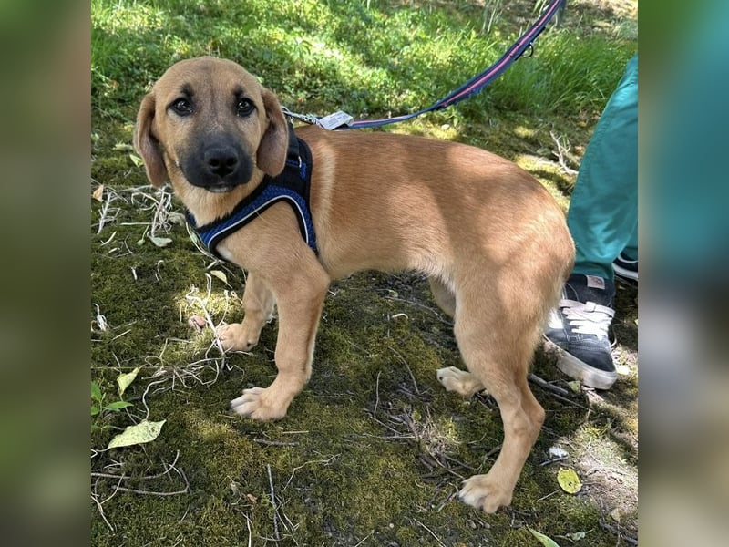 Nina ein kleiner Engelchen