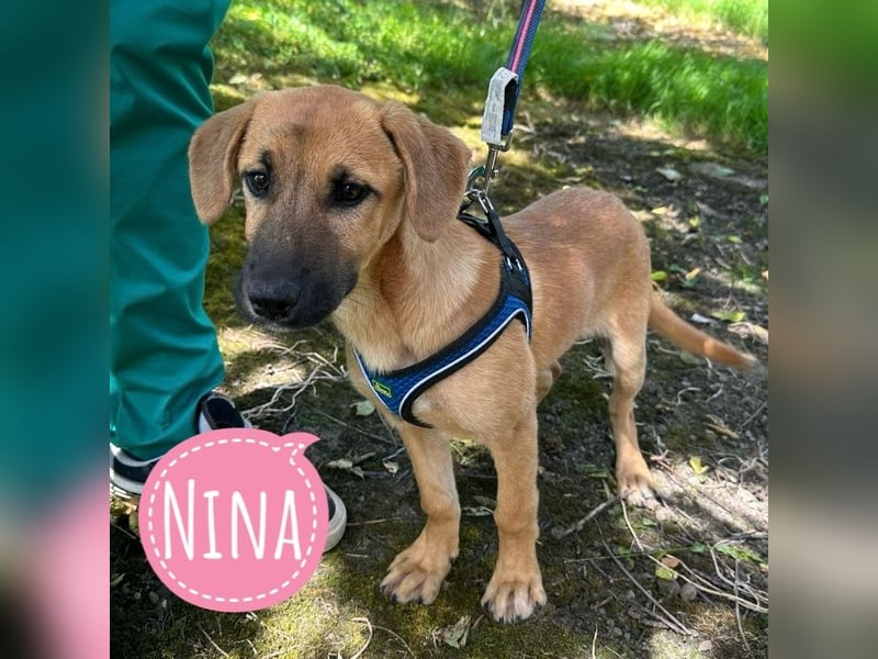 Nina ein kleiner Engelchen