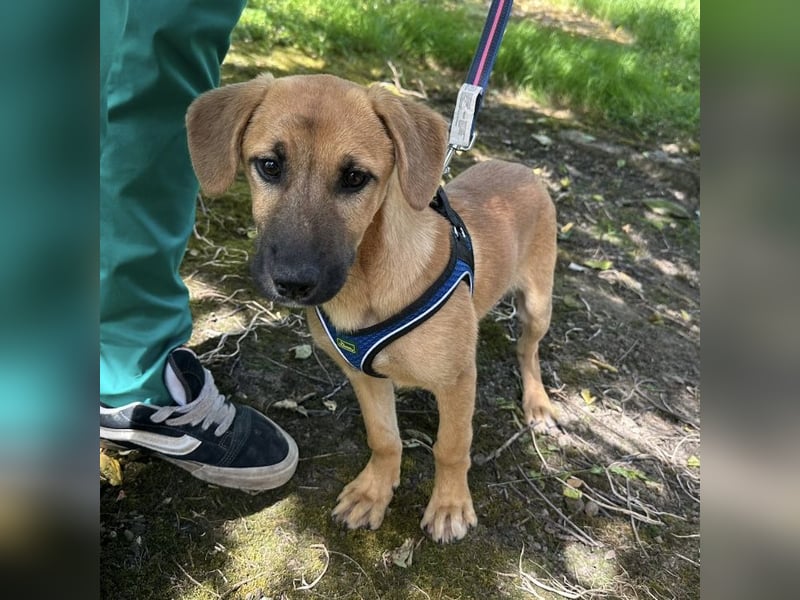 Nina ein kleiner Engelchen