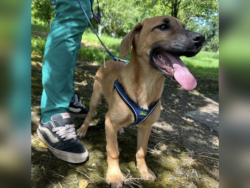 Nina ein kleiner Engelchen
