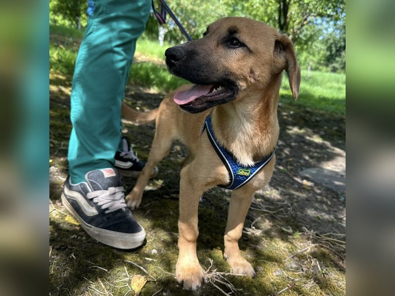 Nina ein kleiner Engelchen