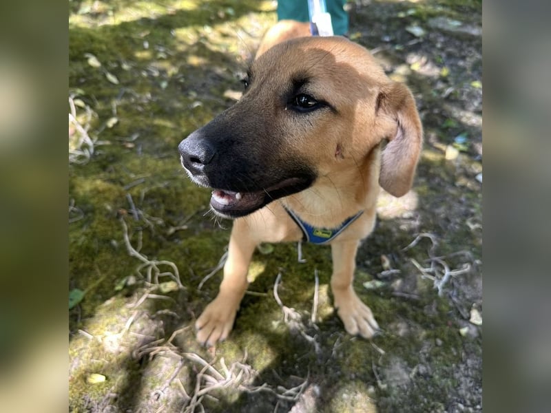 Nina ein kleiner Engelchen