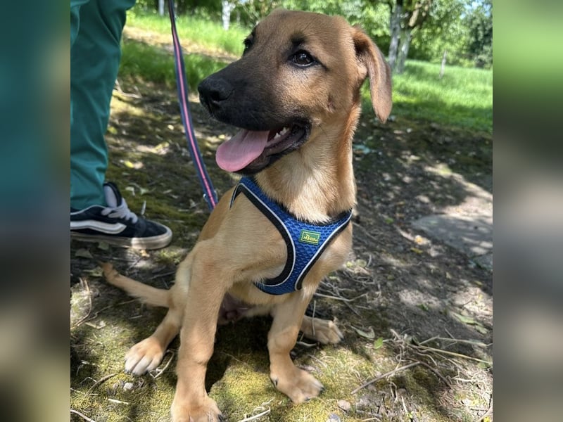 Nina ein kleiner Engelchen