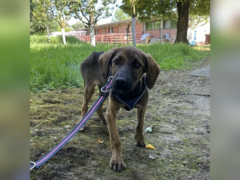 Nena ein kleiner Engel